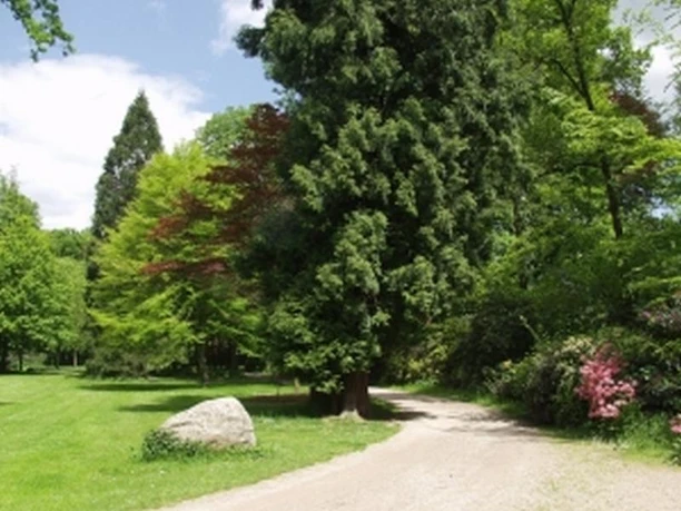 Stadtpark Versmold Ein schmaler Schotterweg windet sich durch einen üppigen, grünen Park mit hohen Bäumen und bunten Sträuchern.