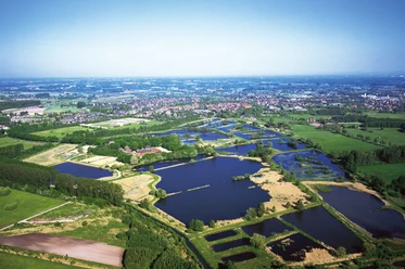 Naturschutzgebiet Rietberger Fischteiche Luftaufnahme von zahlreichen blauen Teichen in einer ländlichen, grünen Landschaft mit Kleinstadt im Hintergrund.