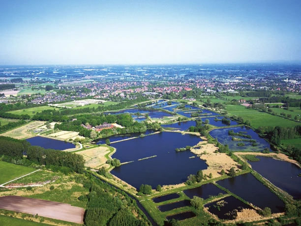 Naturschutzgebiet Rietberger Fischteiche Luftaufnahme von zahlreichen blauen Teichen in einer ländlichen, grünen Landschaft mit Kleinstadt im Hintergrund.