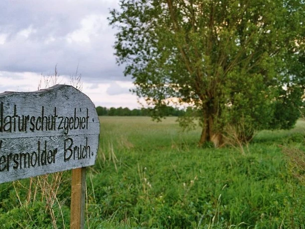 Versmolder Naturschutzgebiet Holzschild "Naturschutzgebiet Versmolder Bruch" vor einer weitläufigen Wiesenlandschaft mit Baum.