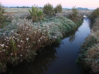 Versmolder Bruch Ein schmaler Bach fließt durch eine frostbedeckte Wiese bei Morgendämmerung im Herbst.