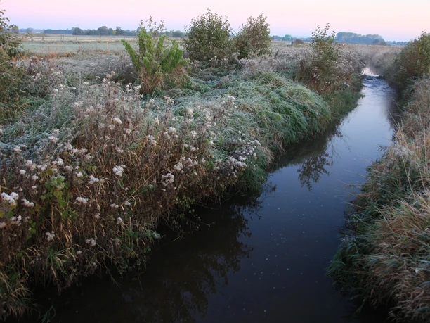 Versmolder Bruch Ein schmaler Bach fließt durch eine frostbedeckte Wiese bei Morgendämmerung im Herbst.