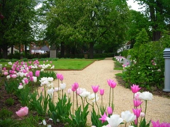 Ein gepflegter Parkweg führt durch eine blühende Landschaft aus zartrosa und weißen Tulpen.
