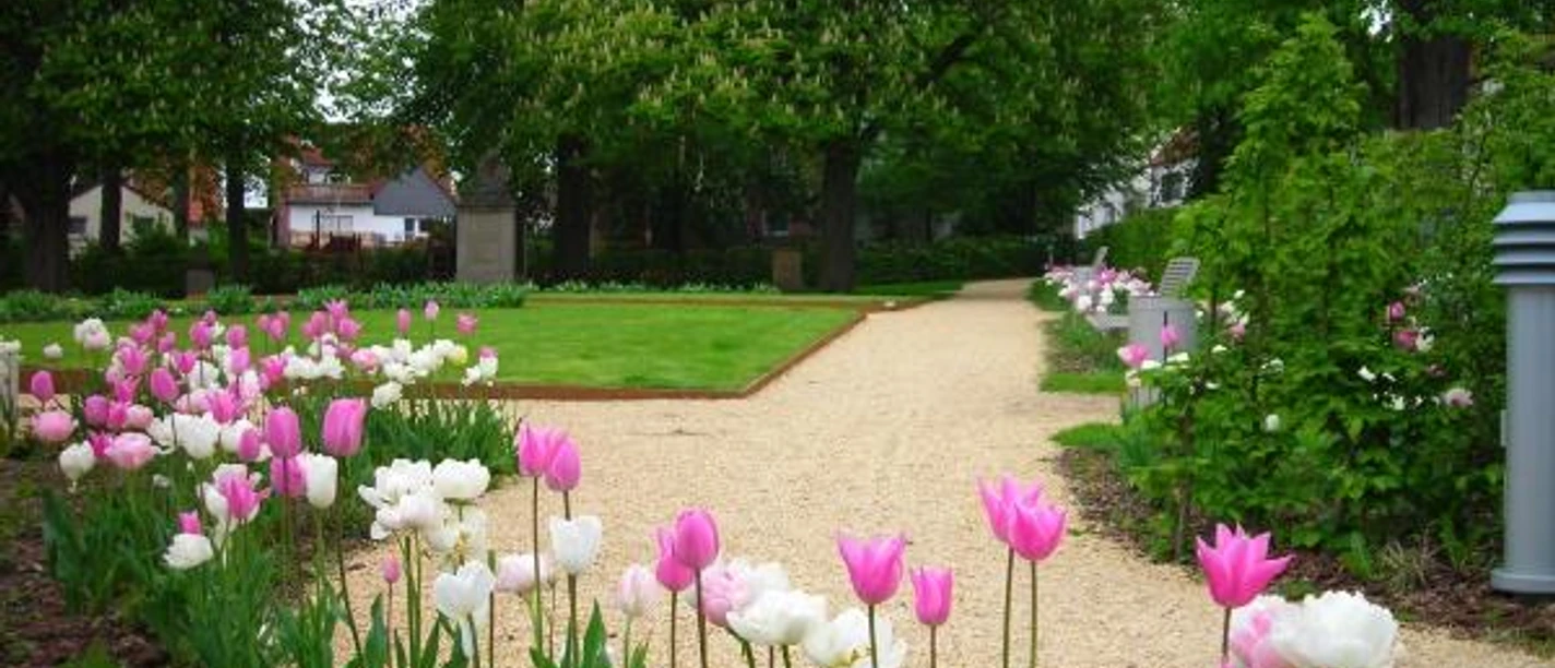 Ein gepflegter Parkweg führt durch eine blühende Landschaft aus zartrosa und weißen Tulpen.
