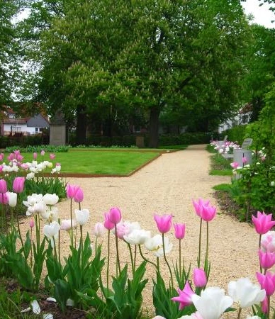Ein gepflegter Parkweg führt durch eine blühende Landschaft aus zartrosa und weißen Tulpen.