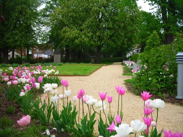 Groene Plaats Ein gepflegter Parkweg führt durch eine blühende Landschaft aus zartrosa und weißen Tulpen.