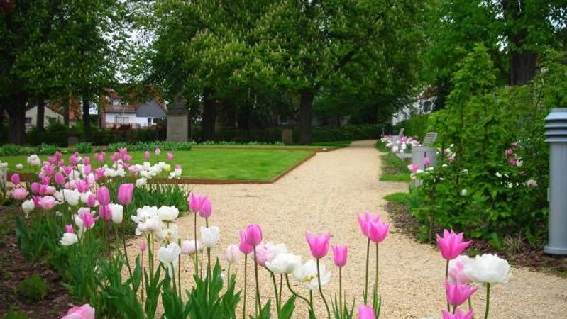 Groene Plaats Ein gepflegter Parkweg führt durch eine blühende Landschaft aus zartrosa und weißen Tulpen.