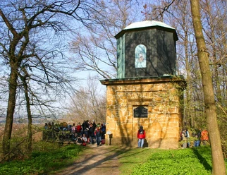 Eine Gruppe von Menschen steht vor einem steinernen Aussichtsturm im sonnigen Wald.
