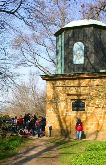 Eine Gruppe von Menschen steht vor einem steinernen Aussichtsturm im sonnigen Wald.
