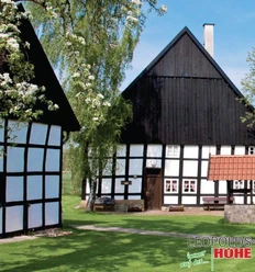 Heimathof im Frühling Fachwerkhäuser im Frühlingsgarten, blühender Baum und grüner Rasen, klarer blauer Himmel im Hintergrund.