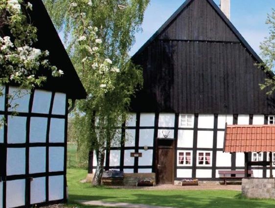 Heimathof im Frühling Fachwerkhäuser im Frühlingsgarten, blühender Baum und grüner Rasen, klarer blauer Himmel im Hintergrund.