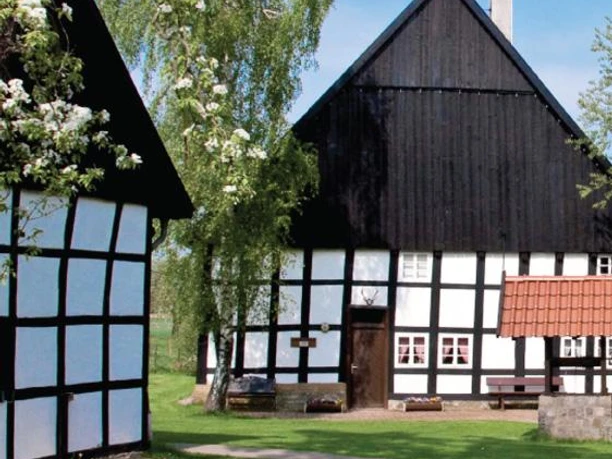 Heimathof im Frühling Fachwerkhäuser im Frühlingsgarten, blühender Baum und grüner Rasen, klarer blauer Himmel im Hintergrund.
