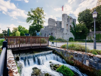 Lippequelle mit Burgruine Burgruine auf einer Anhöhe, flankiert von Bäumen. Im Vordergrund ein kleiner Wasserfall und eine Holzbrücke.