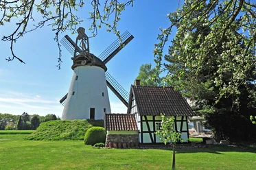 Historische Windmühle mit weißem Turm und Balkenflügeldach, umgeben von grüner Landschaft und Bäumen.