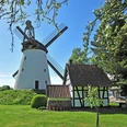 Historische Windmühle mit weißem Turm und Balkenflügeldach, umgeben von grüner Landschaft und Bäumen.