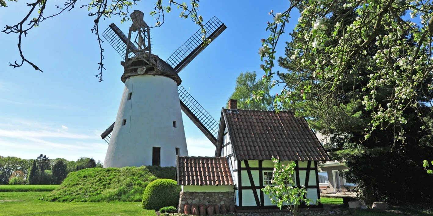 Wegholmer Mühle Historische Windmühle mit weißem Turm und Balkenflügeldach, umgeben von grüner Landschaft und Bäumen.
