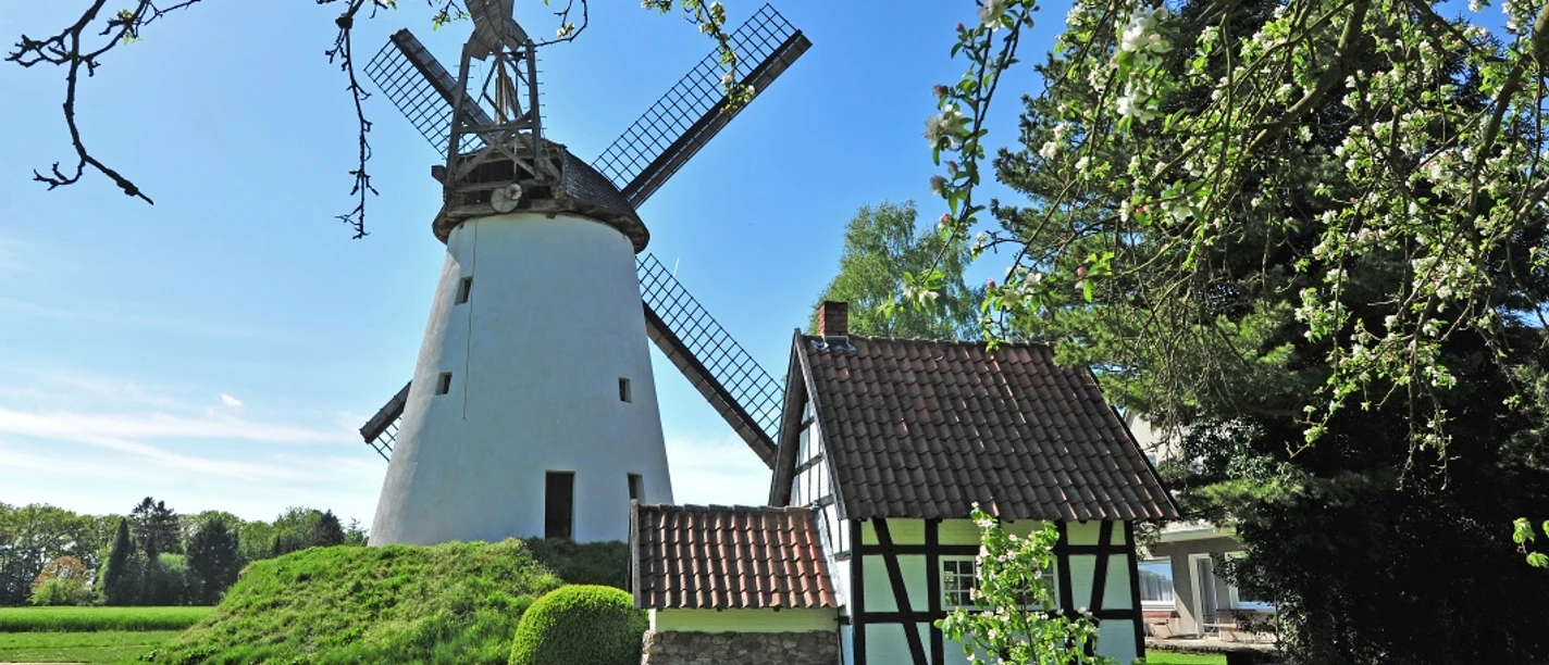 Wegholmer Mühle Historische Windmühle mit weißem Turm und Balkenflügeldach, umgeben von grüner Landschaft und Bäumen.