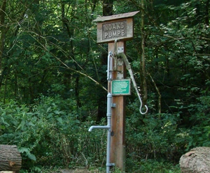 Noaks Pumpe Lippspringer Wald Holzpumpe im Lippspringer Wald zwischen Bäumen, gekennzeichnet als Noaks Pumpe, mit Hinweisschild.