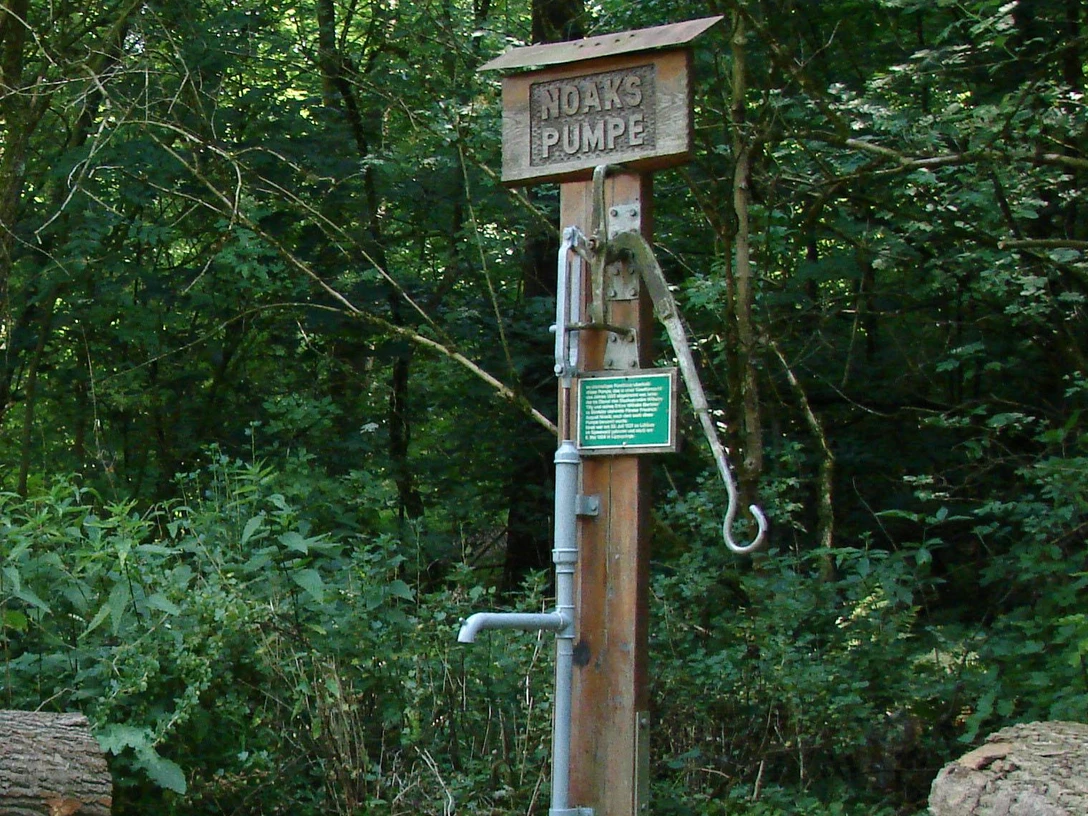 Noaks Pumpe Lippspringer Wald Holzpumpe im Lippspringer Wald zwischen Bäumen, gekennzeichnet als Noaks Pumpe, mit Hinweisschild.