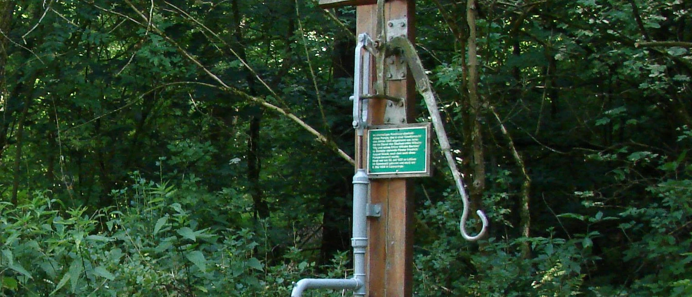 Noaks Pumpe Lippspringer Wald Holzpumpe im Lippspringer Wald zwischen Bäumen, gekennzeichnet als Noaks Pumpe, mit Hinweisschild.