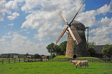 Großenheider Königsmühle Das Bild zeigt die Großenheider Königsmühle