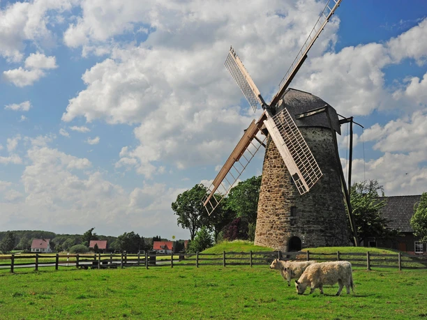 Großenheider Königsmühle Das Bild zeigt die Großenheider Königsmühle