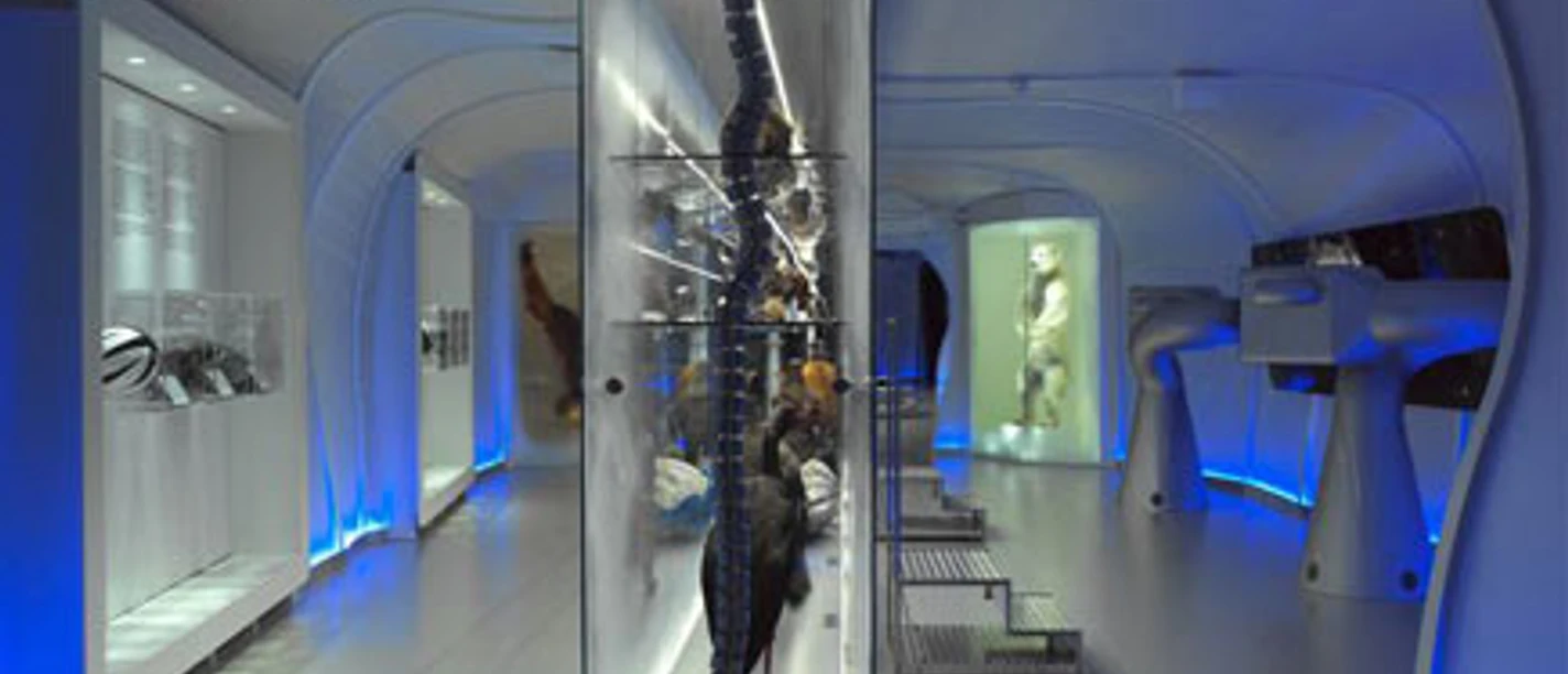 namu (Museum Natur, Mensch und Umwelt)