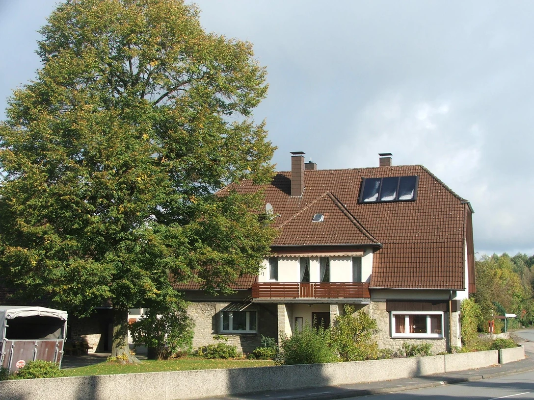 Großes Wohnhaus mit braunem Dach, umgeben von Grün und einem Baum, unter blauem Himmel.