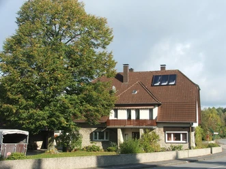 Hof Brink Großes Wohnhaus mit braunem Dach, umgeben von Grün und einem Baum, unter blauem Himmel.