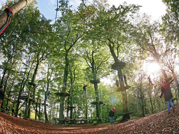 Kletterpark im herbstlichen Wald, mit Seilbrücken und Plattformen zwischen hohen Bäumen unter blauem Himmel.
