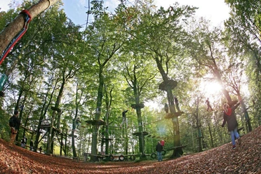 Herbsttag im Kletterpark Kletterpark im herbstlichen Wald, mit Seilbrücken und Plattformen zwischen hohen Bäumen unter blauem Himmel.