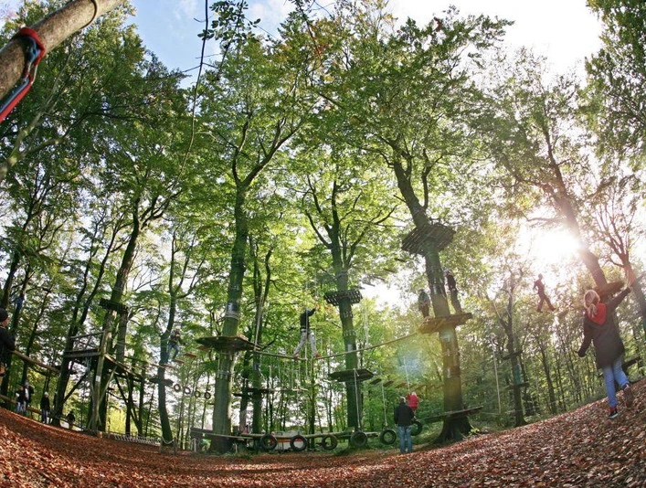 Herbsttag im Kletterpark Kletterpark im herbstlichen Wald, mit Seilbrücken und Plattformen zwischen hohen Bäumen unter blauem Himmel.