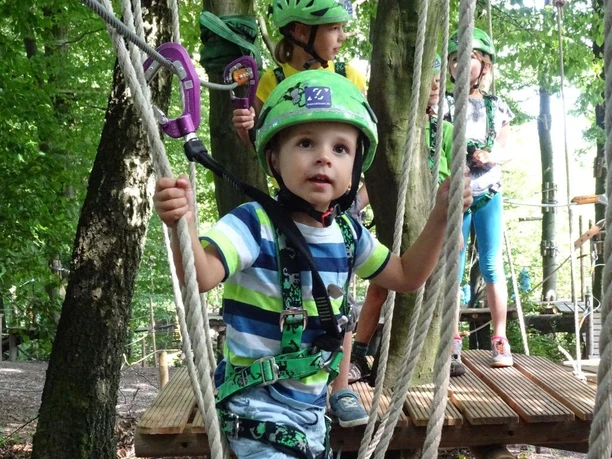Kind im lila Klettergurt auf Kletterparkseilbahn; Washingtonia Natur, konzentrierter Gesichtsausdruck.