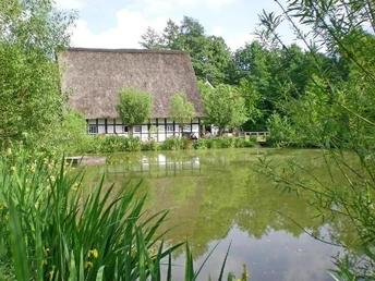 Reetgedeckte Fachwerkmühle am Wasser, umgeben von üppigem Grün und einem klaren Himmel.