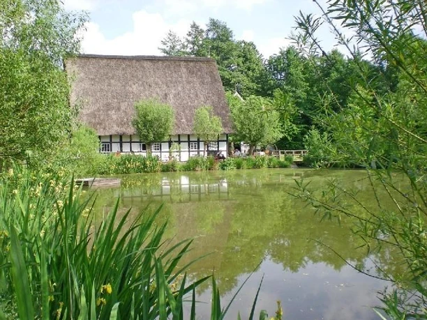 Reetgedeckte Fachwerkmühle am Wasser, umgeben von üppigem Grün und einem klaren Himmel.