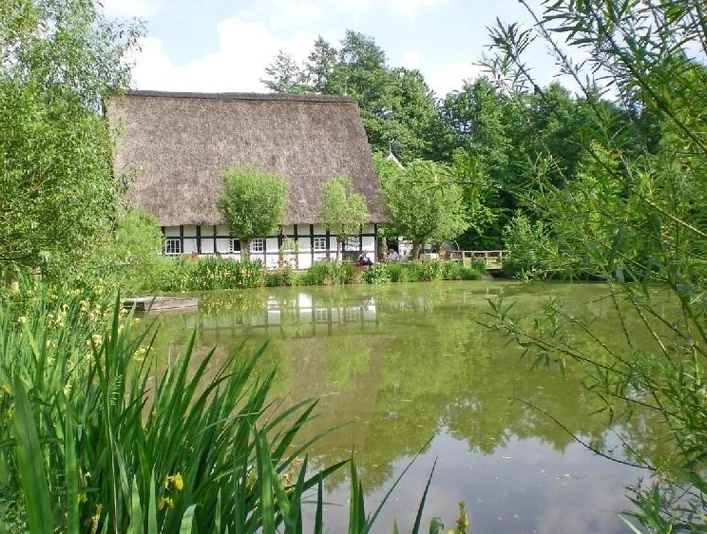Reetgedeckte Fachwerkmühle am Wasser, umgeben von üppigem Grün und einem klaren Himmel.