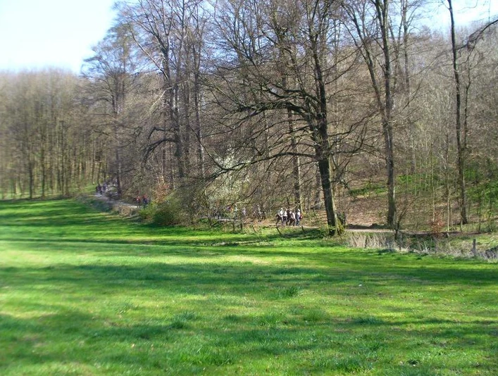 Drei Wanderer folgen einem schmalen Pfad durch einen lichten Wald im Haxtergrund bei Sonnenschein.