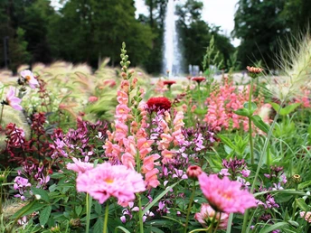 Blumenpracht & Waldidylle im Gartenschau-Gelände Bad Lippspringe Prächtige Blumen und Gräser vor einem sprudelnden Springbrunnen bei der Gartenschau Bad Lippspringe.