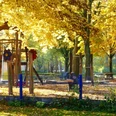 Spielplatz im Riemekepark Im Riemekepark lädt ein Spielplatz mit Klettergerüst und Rutsche, umgeben von herbstlichen Bäumen, ein.