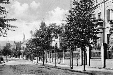 Historische Stadtstraße mit Kopfsteinpflaster, gesäumt von Bäumen und Gebäuden, im Hintergrund Kirchturm.