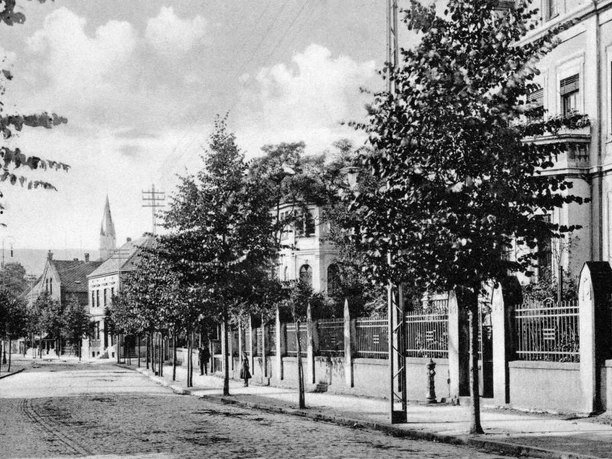 Historische Stadtstraße mit Kopfsteinpflaster, gesäumt von Bäumen und Gebäuden, im Hintergrund Kirchturm.