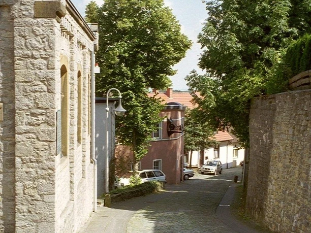 Synagoge Steinweg mit Pflaster und Blick auf Synagoge, flankiert von Bäumen und historischen Gebäuden.