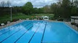 Freibad Schlangen Beckenansicht Ein großes, von Bäumen umgebene Schwimmbecken mit klarblauem Wasser und Startblöcken am Rand.