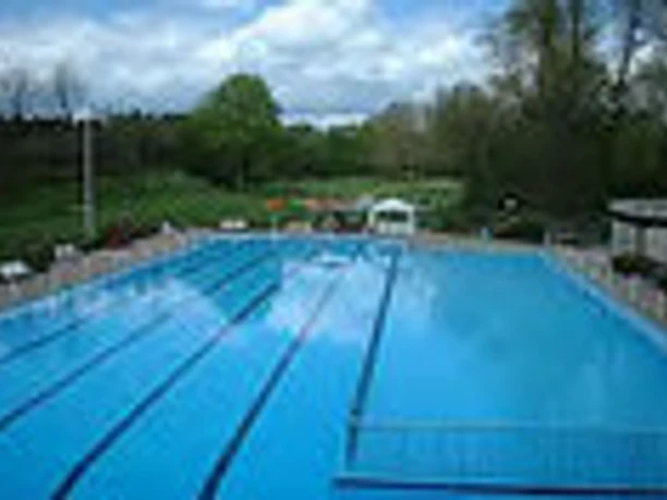 Freibad Schlangen Beckenansicht Ein großes, von Bäumen umgebene Schwimmbecken mit klarblauem Wasser und Startblöcken am Rand.