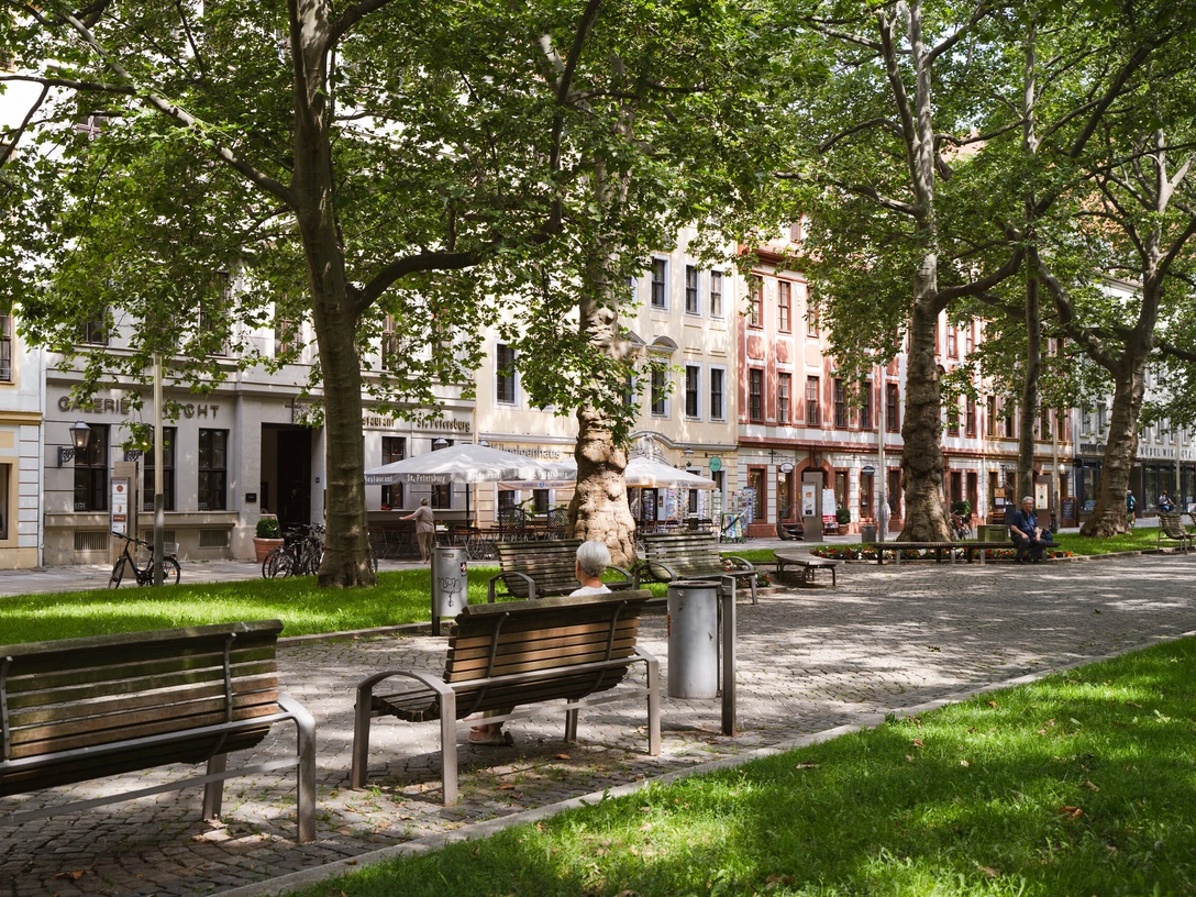 Hauptstraße Dresden