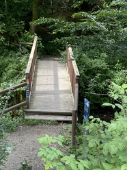 Brücke am Eifgenbachweg Holzsteg über einen kleinen Bach inmitten eines dichten Waldes mit üppigem Grün und Blätterdach.