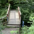 Brücke am Eifgenbachweg Holzsteg über einen kleinen Bach inmitten eines dichten Waldes mit üppigem Grün und Blätterdach.