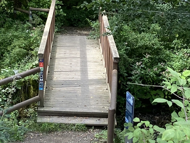 Brücke am Eifgenbachweg Holzsteg über einen kleinen Bach inmitten eines dichten Waldes mit üppigem Grün und Blätterdach.