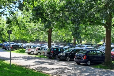Parkplatz an einer von Bäumen gesäumten Straße mit vielen parkenden Autos und dichtem Laub im Hintergrund.