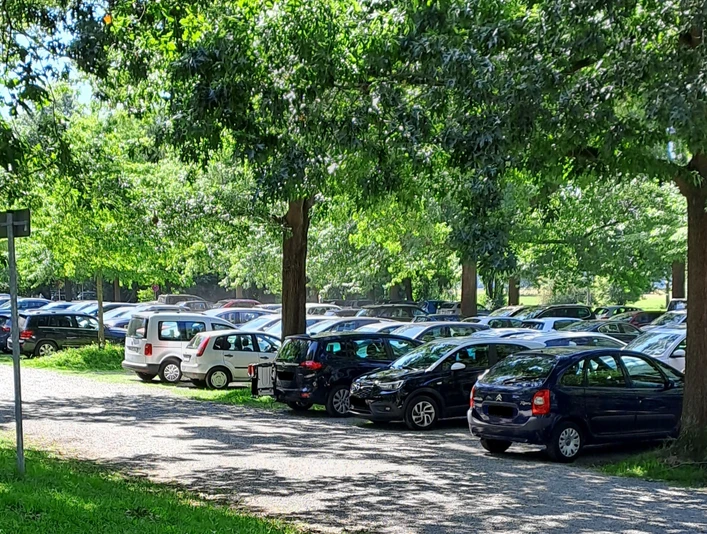 Parkplatz Bruchdamm Parkplatz an einer von Bäumen gesäumten Straße mit vielen parkenden Autos und dichtem Laub im Hintergrund.